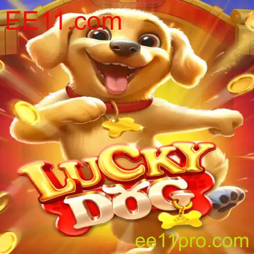 Explorando o Jogo de Cartas Estratégico: LuckyDog